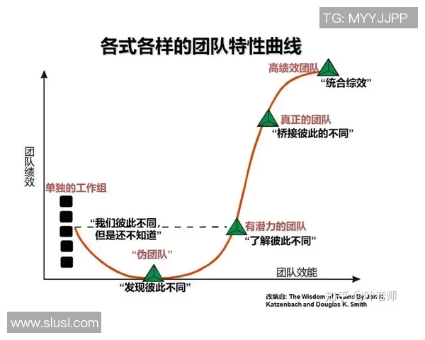 深圳羽毛球队团队协作表现的数据分析与提升策略探讨