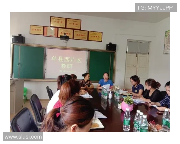 南京飞盘队的转型之路：从传统到创新的全面升级与发展探讨