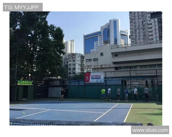 深圳网球队总决赛特别报道：从默默无闻到辉煌成就的奋斗之路