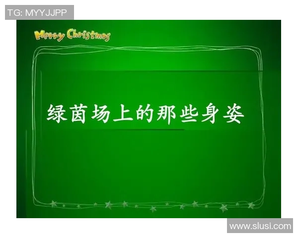 足球明星排名的标准与影响因素解析及其背后的评选机制探讨 足球明星排名的标准与影响因素解析及其背后的评选机制探讨